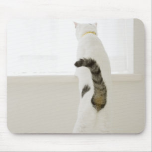 Tapis De Souris Chat regardant par la fenêtre, vue arrière