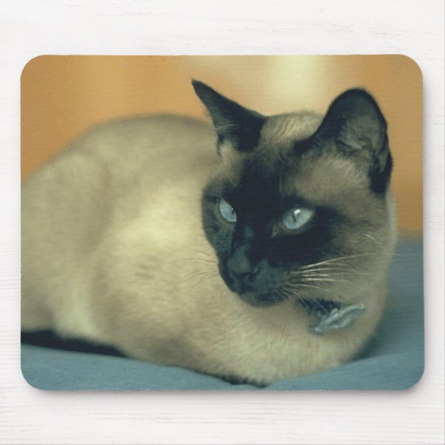 Tapis De Souris Chat siamois (Devant)