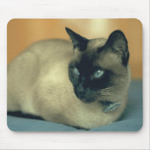 Tapis De Souris Chat siamois Mousepad