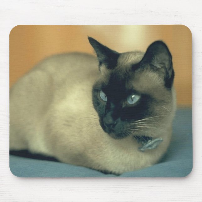 Tapis De Souris Chat siamois Mousepad (Devant)