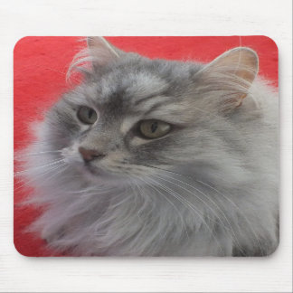Tapis De Souris Chat sibérien Mousepad