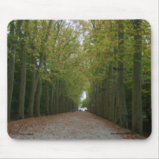 Tapis De Souris Chateau de Chenonceau Mousepad