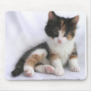 Tapis De Souris chaton