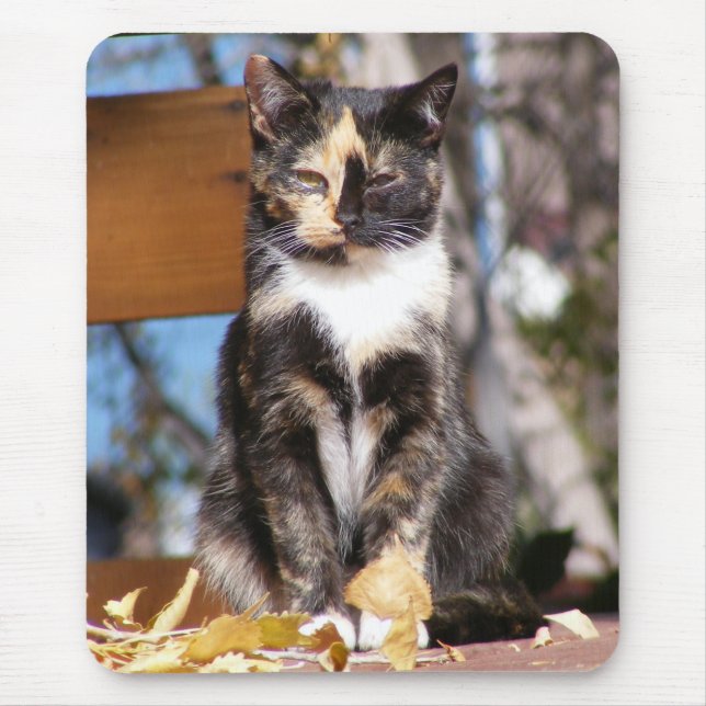Tapis De Souris Chaton 1 d'écaille (Devant)