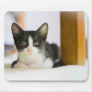 Tapis De Souris Chaton blanc et noir doux