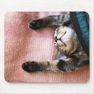 Tapis De Souris Chaton de sommeiller