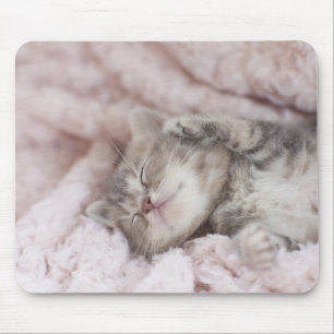 Tapis De Souris Chaton dormant sur la serviette