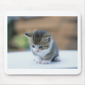 Tapis De Souris Chaton mignon
