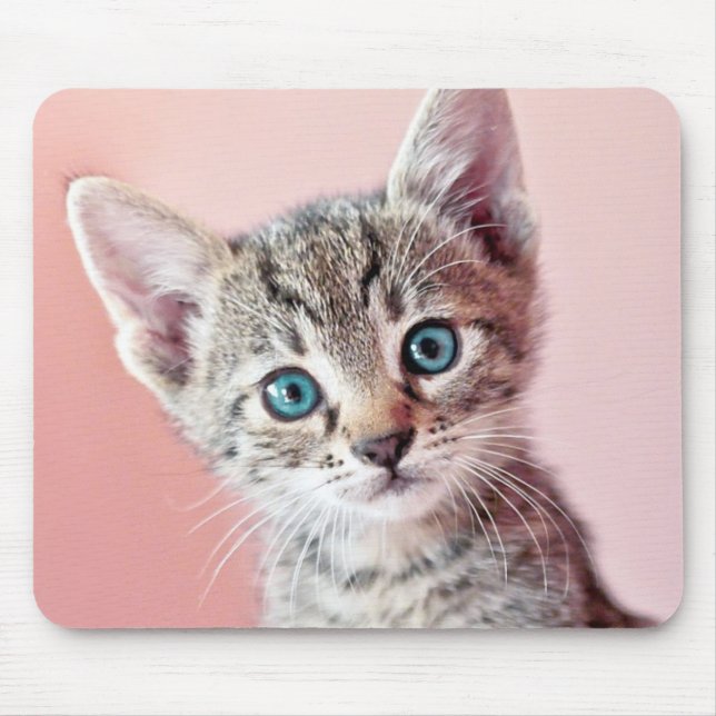 Tapis De Souris Chaton mignon avec les yeux bleus (Devant)