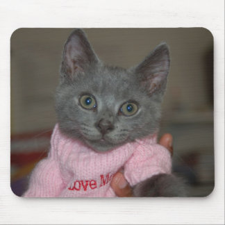 Tapis De Souris Chaton mignon dans le chandail