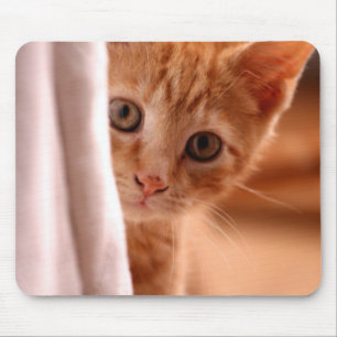 Tapis De Souris Chaton mignon de caramel au beurre
