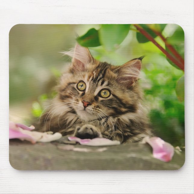 Tapis De Souris Chaton mignon de ragondin du Maine (Devant)