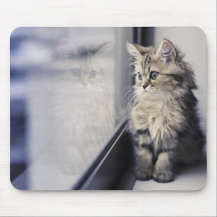 Tapis De Souris Chaton regardant la fenêtre