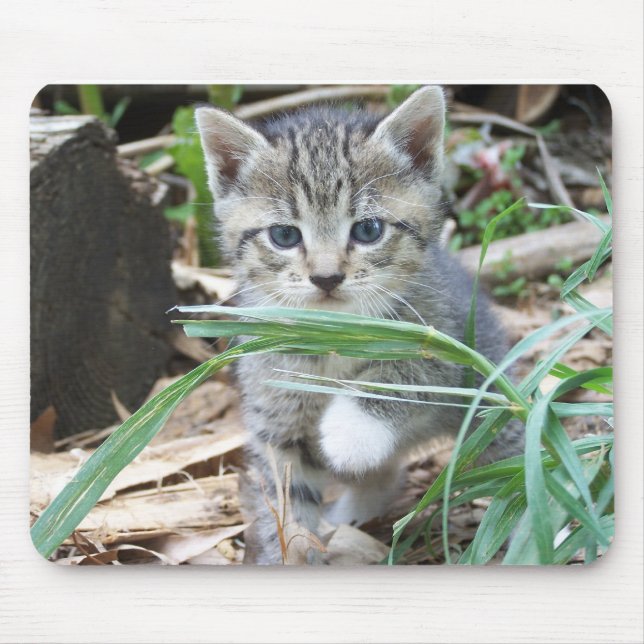 Tapis De Souris Chaton se cachant derrière la lame de l'herbe (Devant)