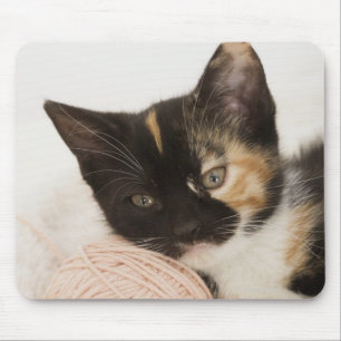 Tapis De Souris Chaton s'étendant sur la boule de la ficelle