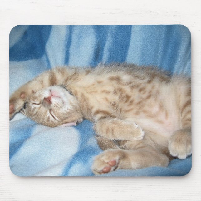 Tapis De Souris Chaton somnolent Mousepad (Devant)