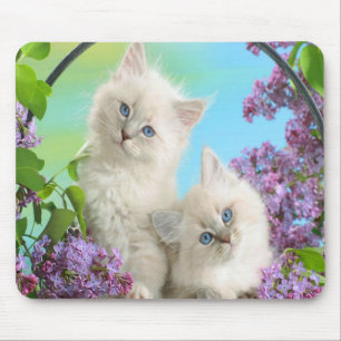 Tapis De Souris Chatons mignons