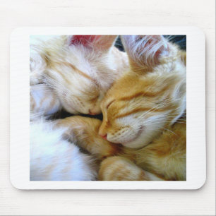 Tapis De Souris Chatons Mousepad de câlin