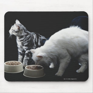 Tapis De Souris Chats avec le bol de nourriture