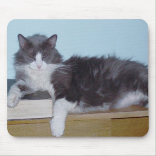 Tapis De Souris Chats de moissons 9 Mousepad
