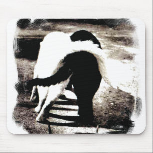 Tapis De Souris Chats noirs et blancs