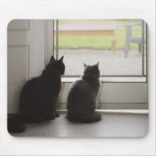 Tapis De Souris Chats regardant la porte grillagée