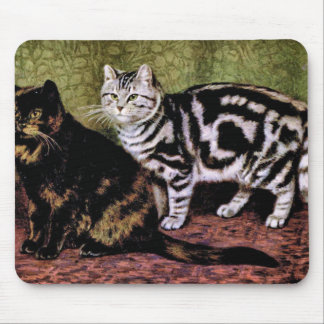 Tapis De Souris Chats tigrés d'écaille et d'argent