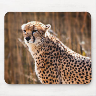 Tapis De Souris Cheetah
