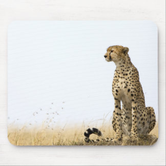 Tapis De Souris Cheetah