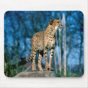 Tapis De Souris Cheetah animal