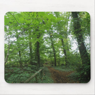 Tapis De Souris Chemin à travers la forêt verte Mousepad