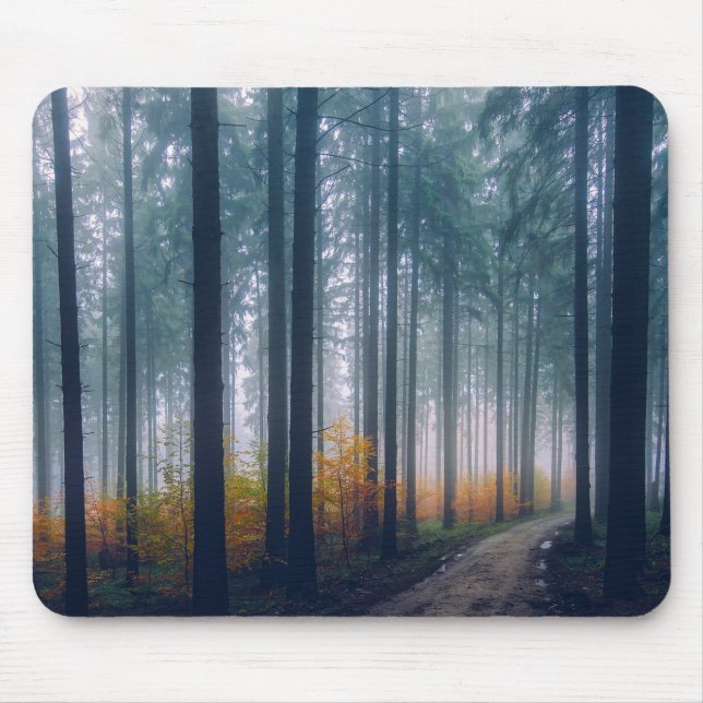 Tapis De Souris Chemin bordé d'arbres forestiers majestueux (Devant)
