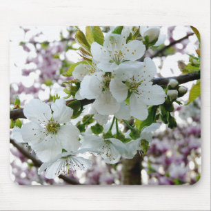 Tapis De Souris Cherry Blossom