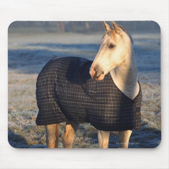 Tapis De Souris cheval (Devant)