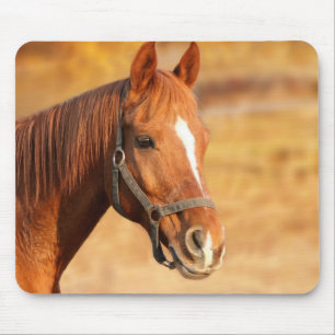 Tapis De Souris Cheval