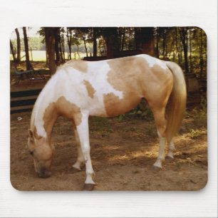 Tapis De Souris Cheval 3, Plaque souris