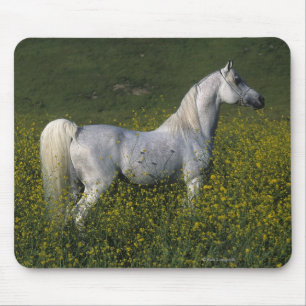 Tapis De Souris Cheval arabe se tenant en fleurs