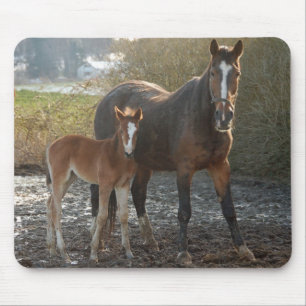 Tapis De Souris Cheval avec le mousepad de poulain