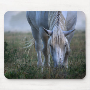 Tapis De Souris Cheval blanc