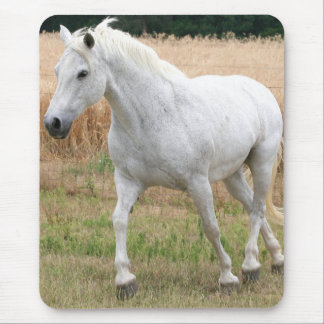 Tapis De Souris Cheval blanc tacheté