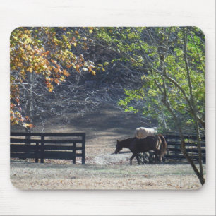 Tapis De Souris Cheval Brown à pied à travers la clôture