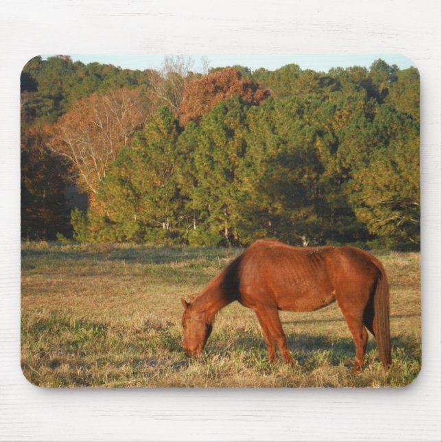 Tapis De Souris Cheval Brown aux pins (Devant)