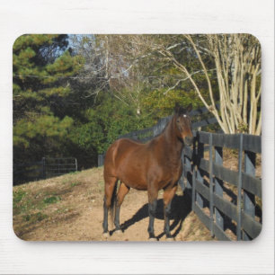 Tapis De Souris Cheval Brown contre une clôture