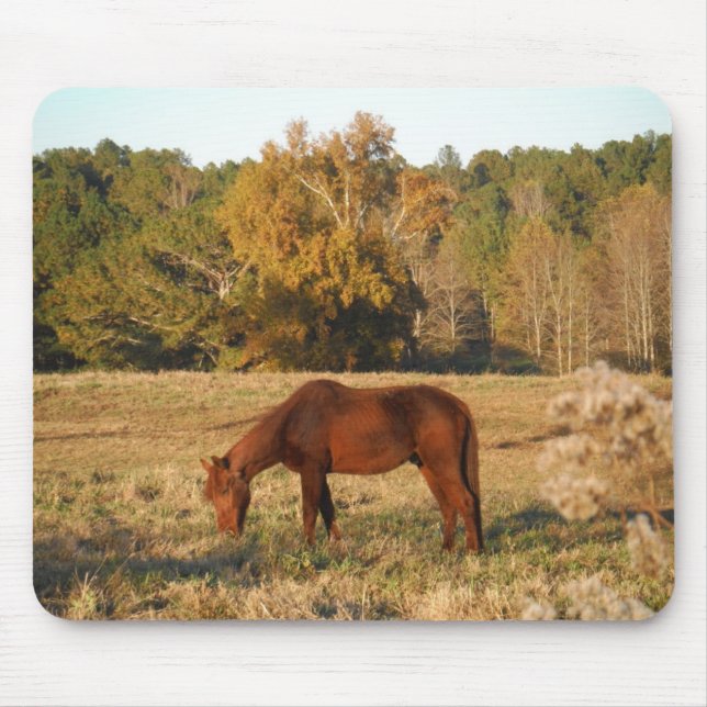 Tapis De Souris Cheval Brown dans le champ d'arbre jaune (Devant)