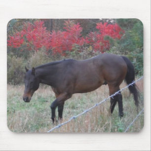 Tapis De Souris Cheval Brown dans les arbres d'automne rouges