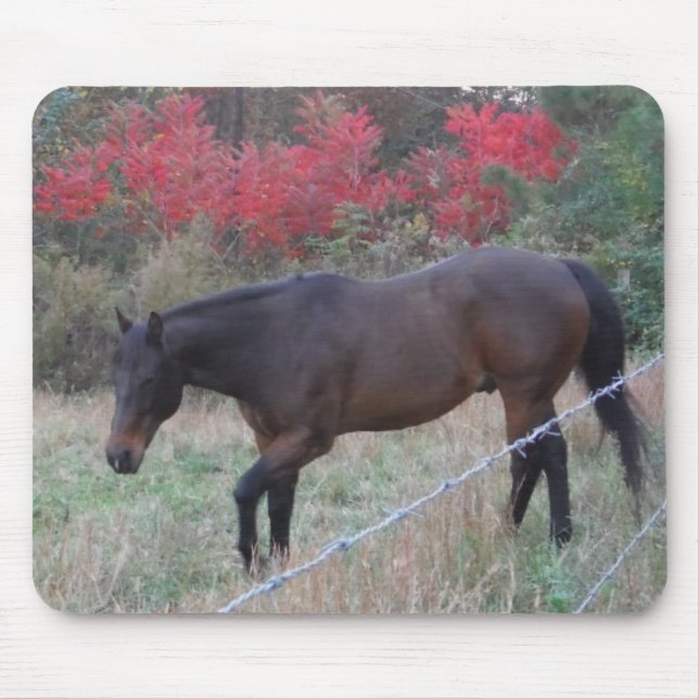 Tapis De Souris Cheval Brown dans les arbres d'automne rouges (Devant)
