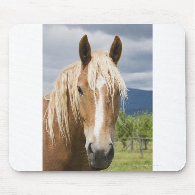 Tapis De Souris Cheval Brown léger (Devant)