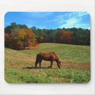 Tapis De Souris Cheval Brown rouge, arbres de chute, ciel bleu