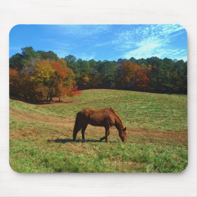 Tapis De Souris Cheval Brown rouge, arbres de chute, ciel bleu (Devant)
