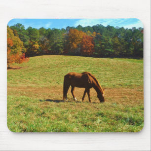 Tapis De Souris Cheval Brown rouge dans les arbres d'automne